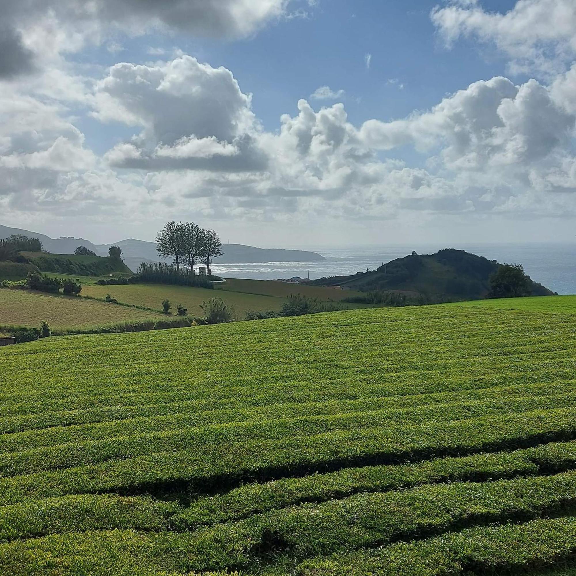 Pousada Da Vila Vila Franca do Campo Ngoại thất bức ảnh